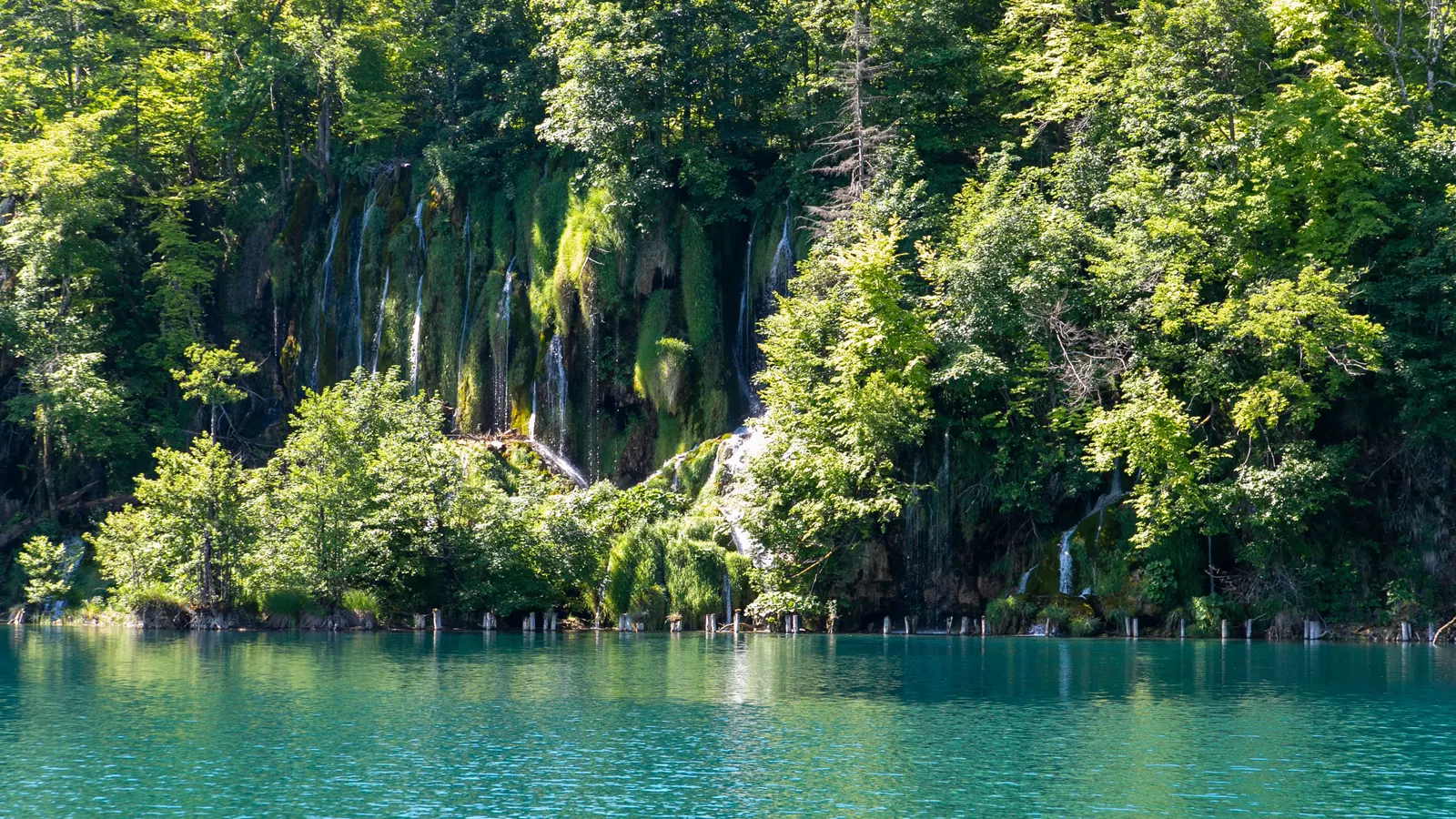 Ein türkiser See in Plitvice mit Wasserfällen am Ufer